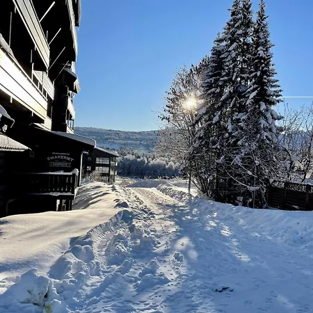 Highland I Pool I Sauna I Sleeps 6 Hol (Buskerud)